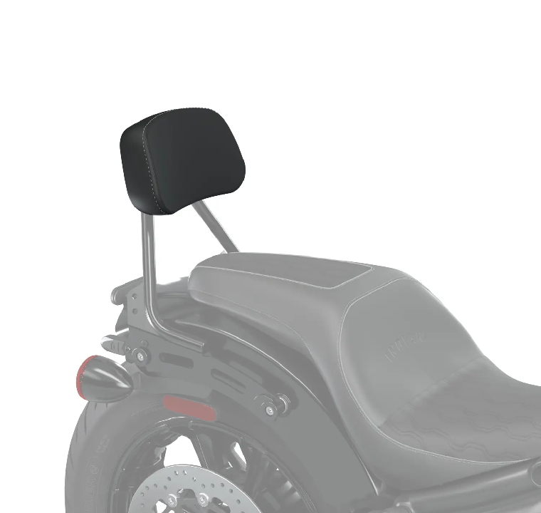 PASSENGER TOURING BACKREST PAD